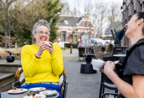 It Reade Hynder96 groot